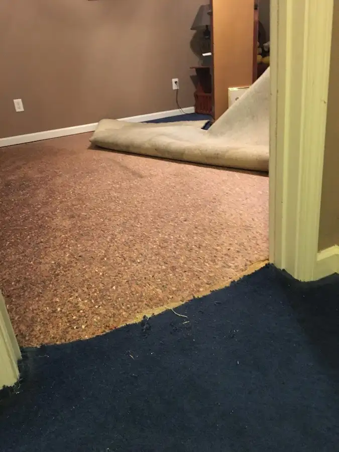 Carpet pad removal revealing water damage during Water Mitigation Services in Gretna