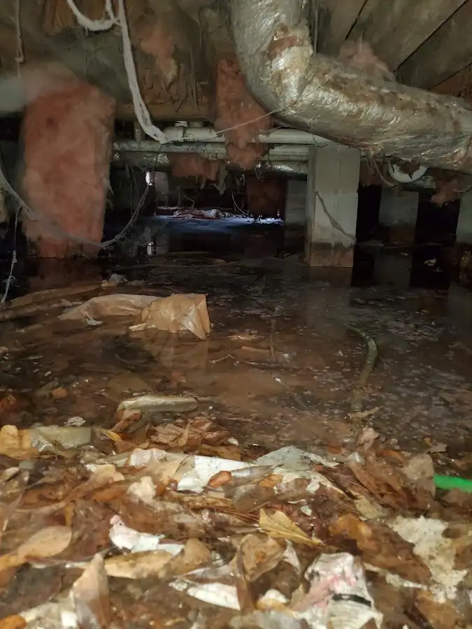 Crawl space flood assessment for Commercial Water Damage Restoration in Gretna